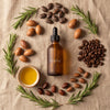 Atorisé natural ingredients - Rosemary, castor beans, argan nuts, coffee beans, jojoba seeds around the bottle